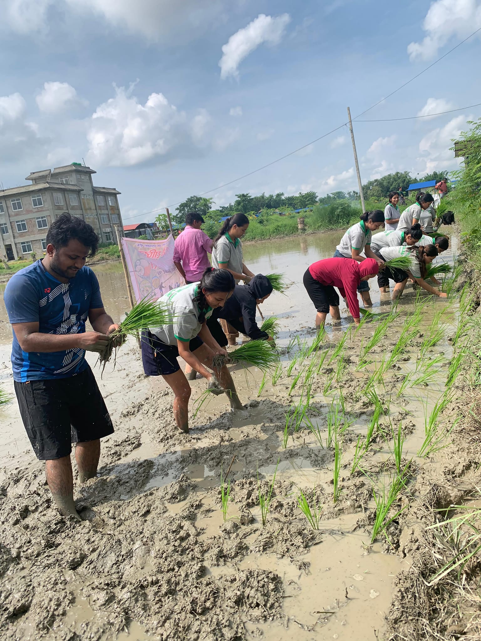 National Paddy Day 2081