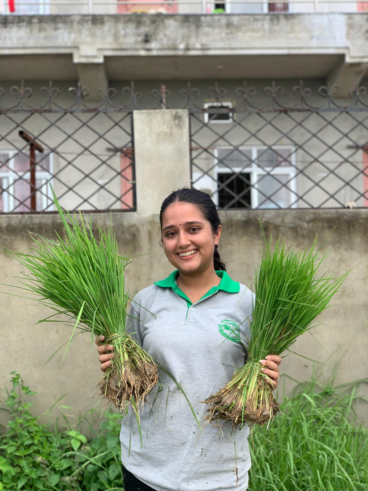 National Paddy Day 2081