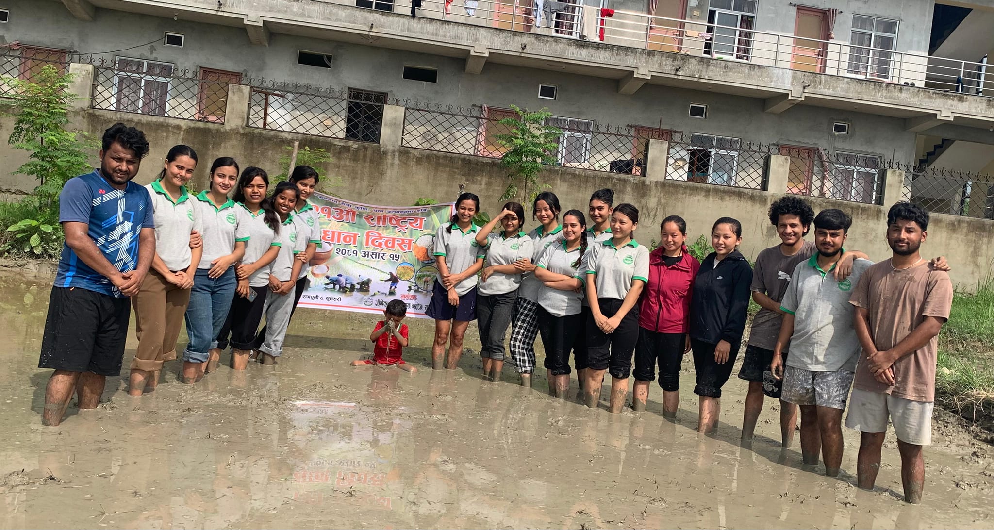 National Paddy Day 2081