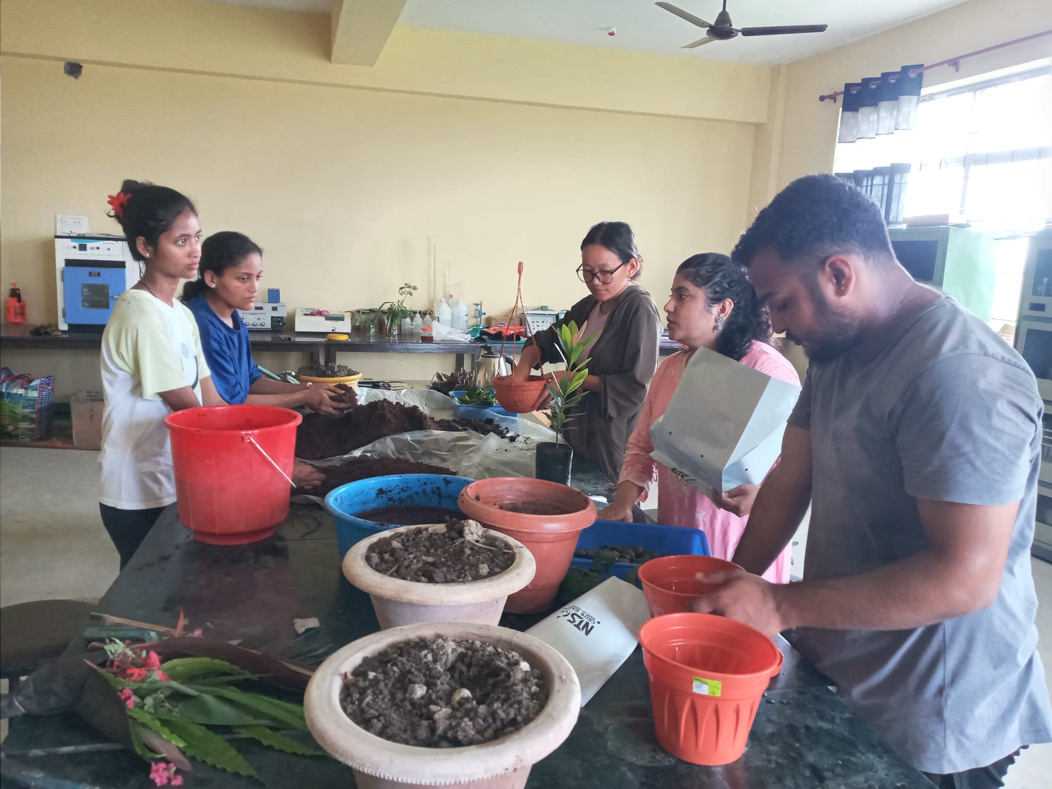 Some Glimses of the Practical of Ornamental Horticulture